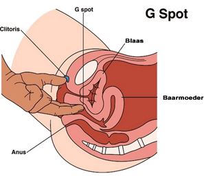 Gspot