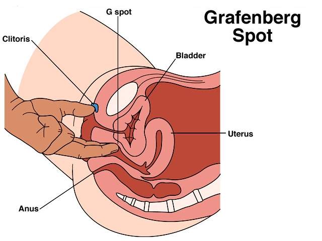 meisje spuit orgasme