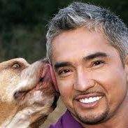 dog whisperer cesar millan